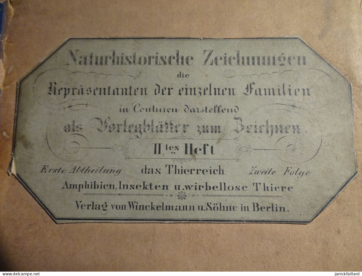 Vieux Port Folio Allemand  Berlin Histoire Naturelle Insectes Vertébrés  Etc Planches - Livres Anciens