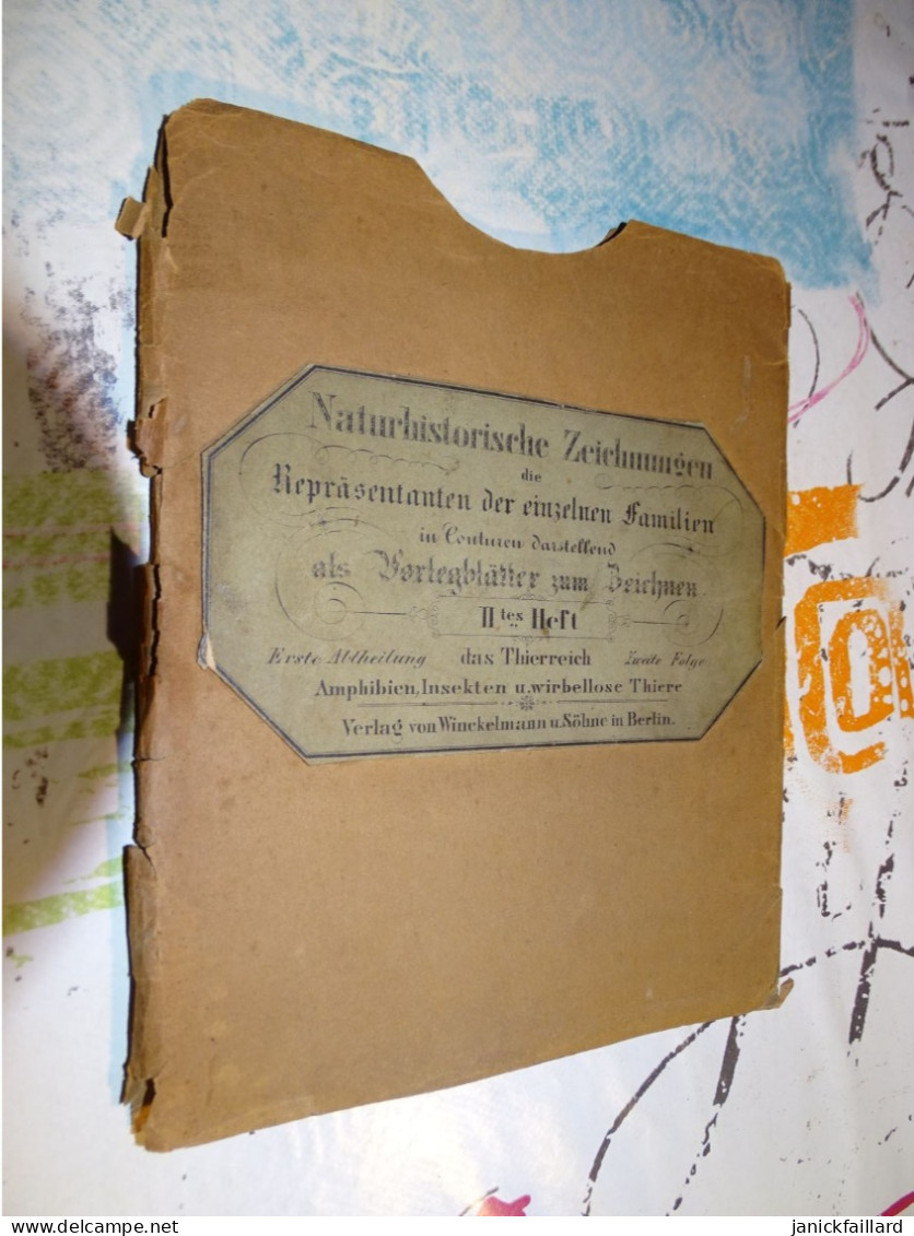 Vieux Port Folio Allemand  Berlin Histoire Naturelle Insectes Vertébrés  Etc Planches - Oude Boeken