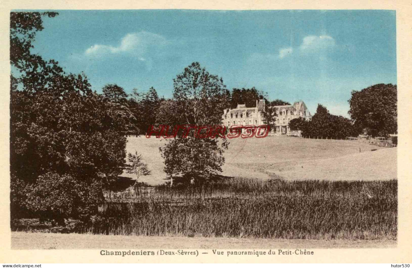 CPA CHAMPDENIERS - (DEUX SEVRES) - VUE PANORAMIQUE DU PETIT CHENE - Champdeniers Saint Denis