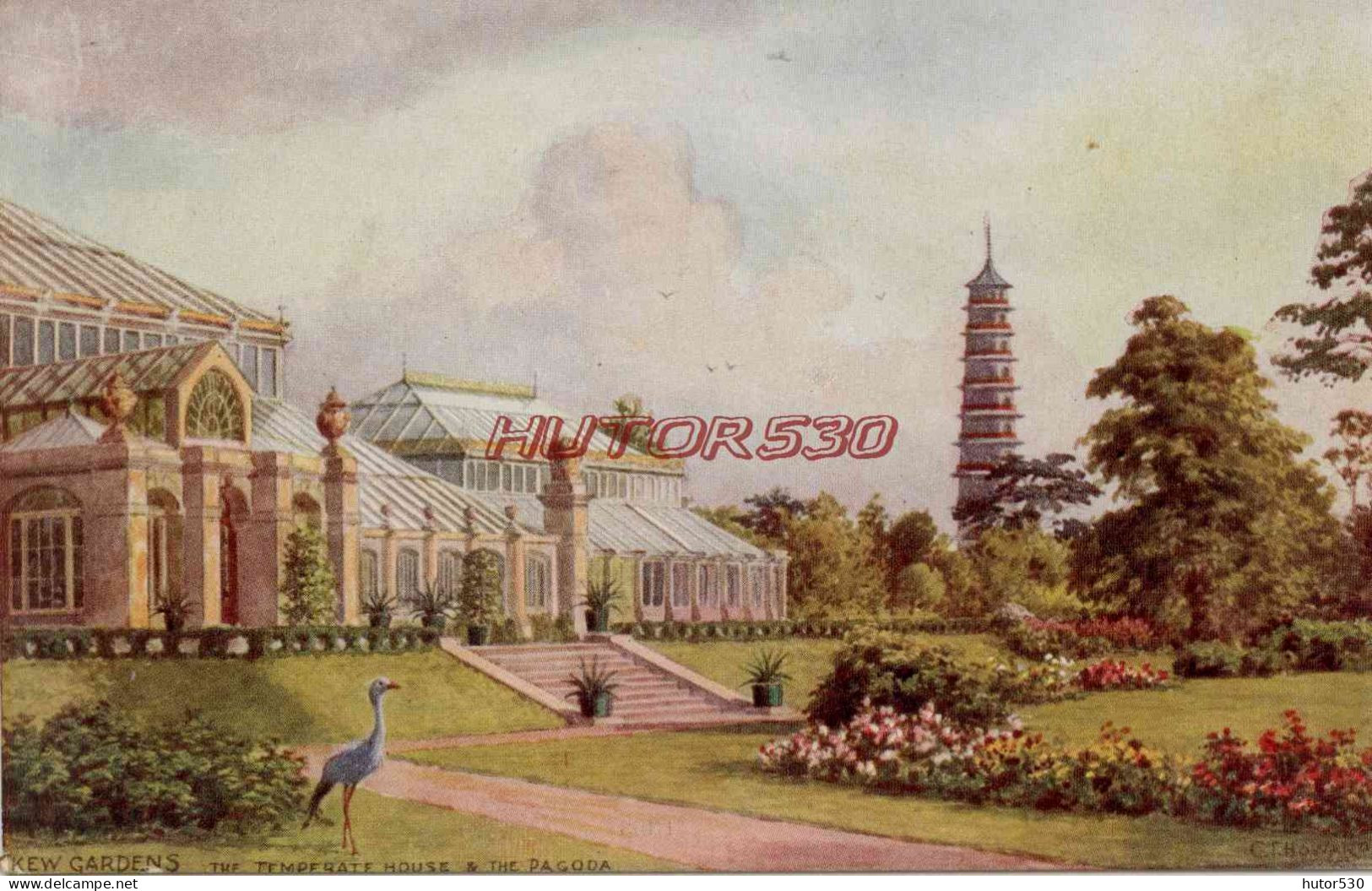 CPA KEW GARDENS - ANGLETERRE - THE TEMPERATE HOUSE AND THE PAGODA - London Suburbs