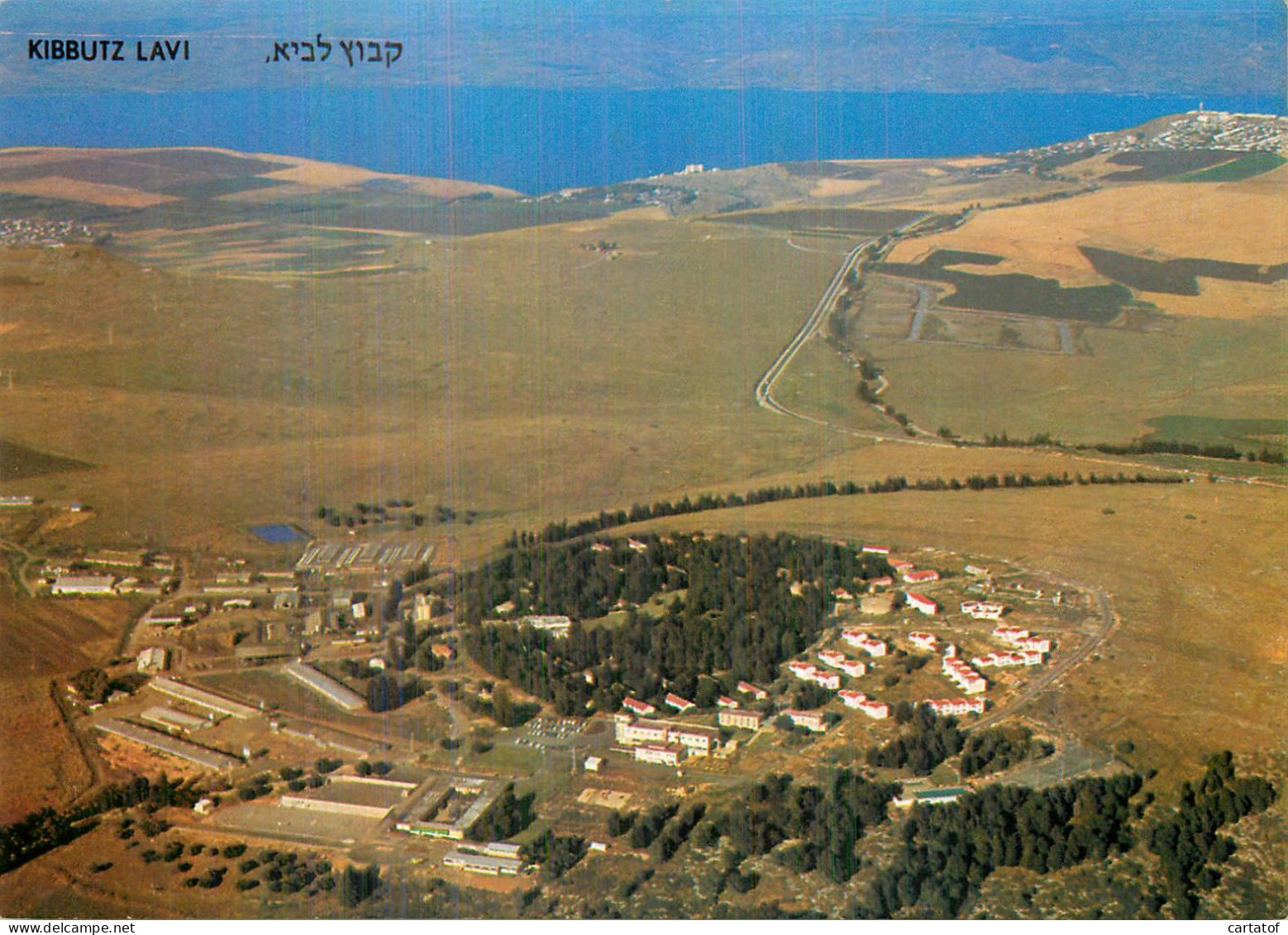 KIBBUTZ LAVI . Orthodox Kibbutz In Lower Galilee … - Autres & Non Classés