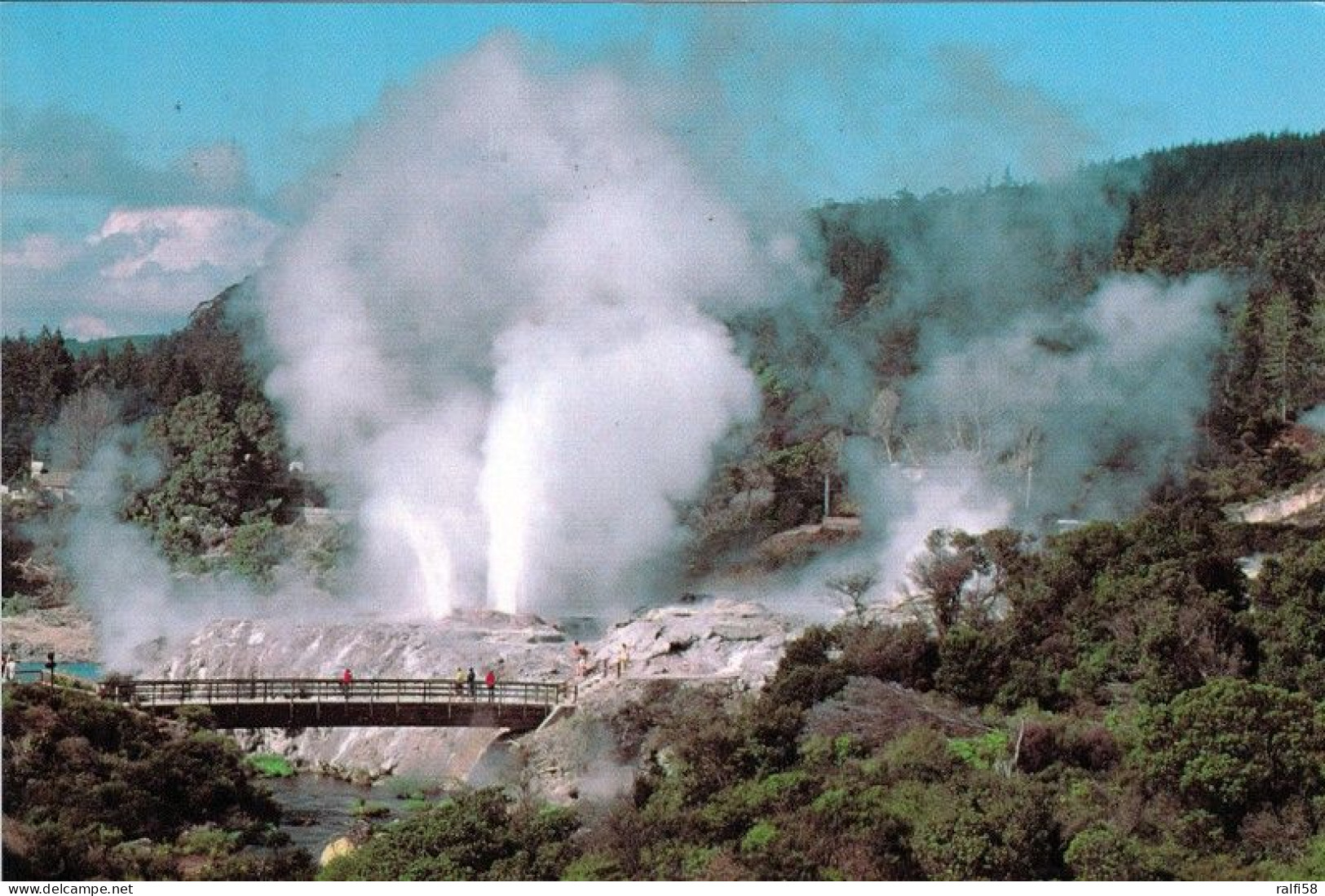 1 AK Neuseeland * Pohutu-Geysir Im Whakarewarewa Geothermalfeld -  Das Größte Geysirfeld Neuseelands * - Nouvelle-Zélande