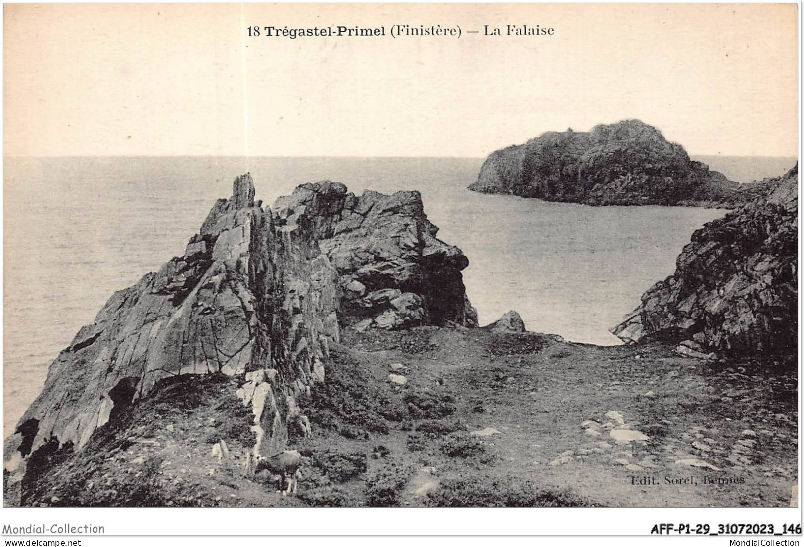 AFFP1-29-0074 - TREGASTEL-PRIMEL - La Falaise  - Primel