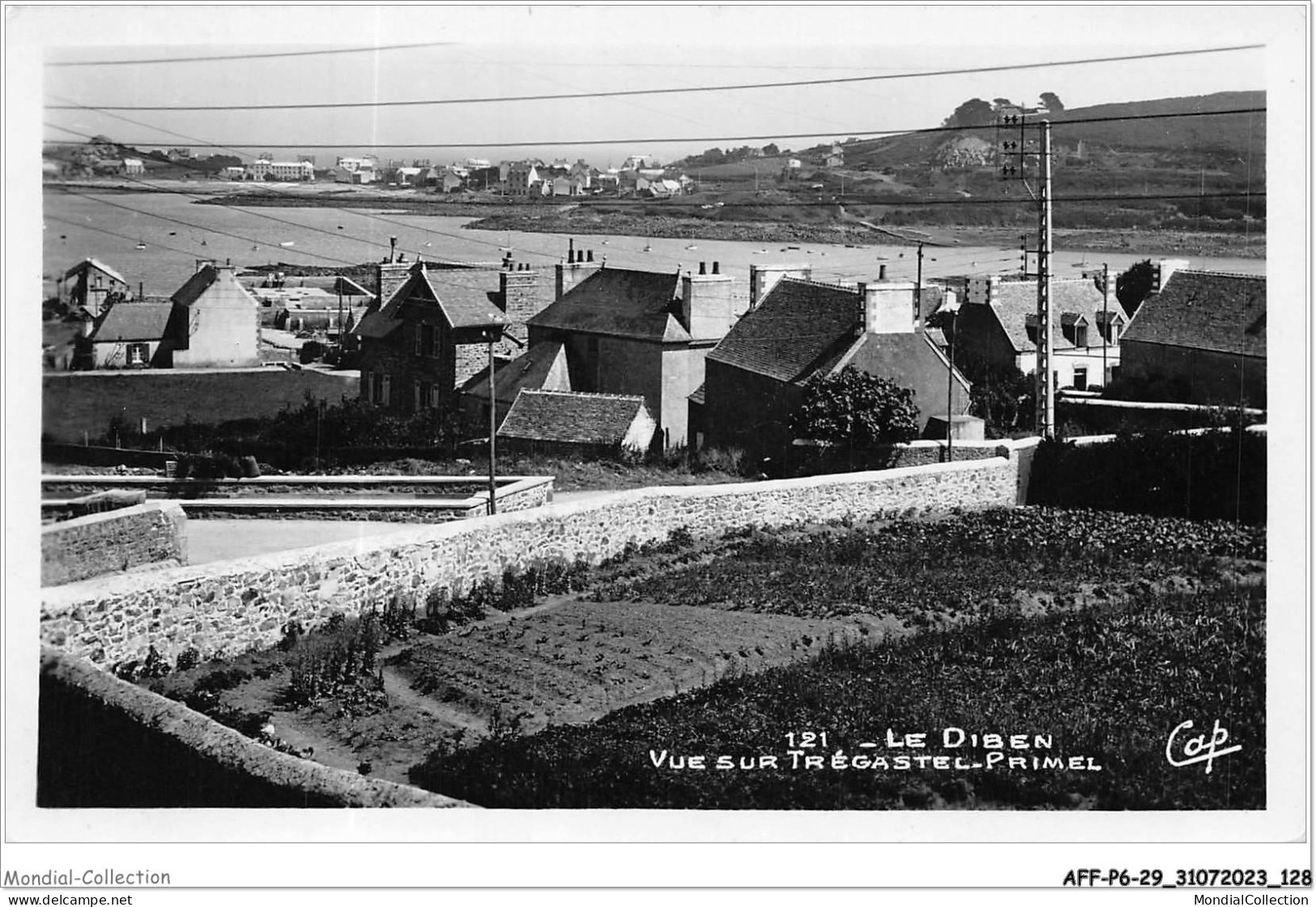 AFFP6-29-0502 - LE DIBEN - Vue Sur Trégastel -primel  - Primel