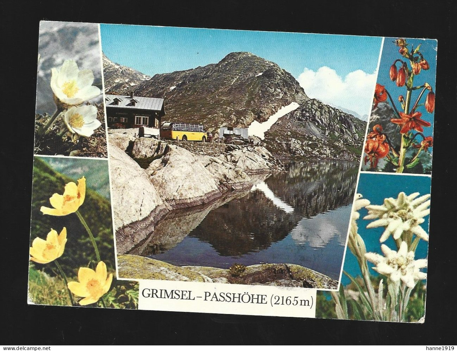 Grimsel Passhöhe Photo Carte Multi View Briefstempel 1976 Aalst Htje - Oberwald