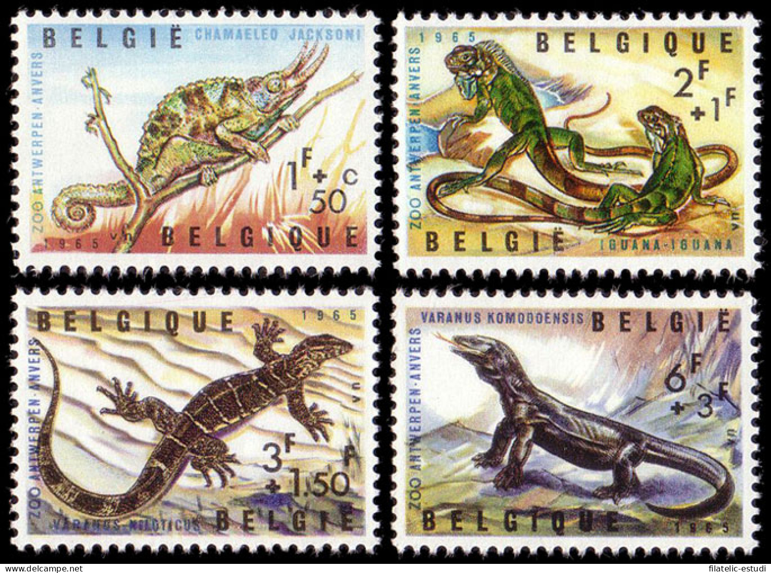 Bélgica - 1344/47 - 1965  Zoo De Amberes Fauna Reptiles Lujo - Autres & Non Classés