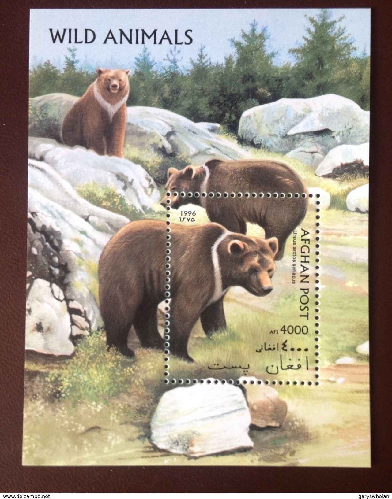 Afghanistan 1996 Bears Animals Minisheet MNH - Ours