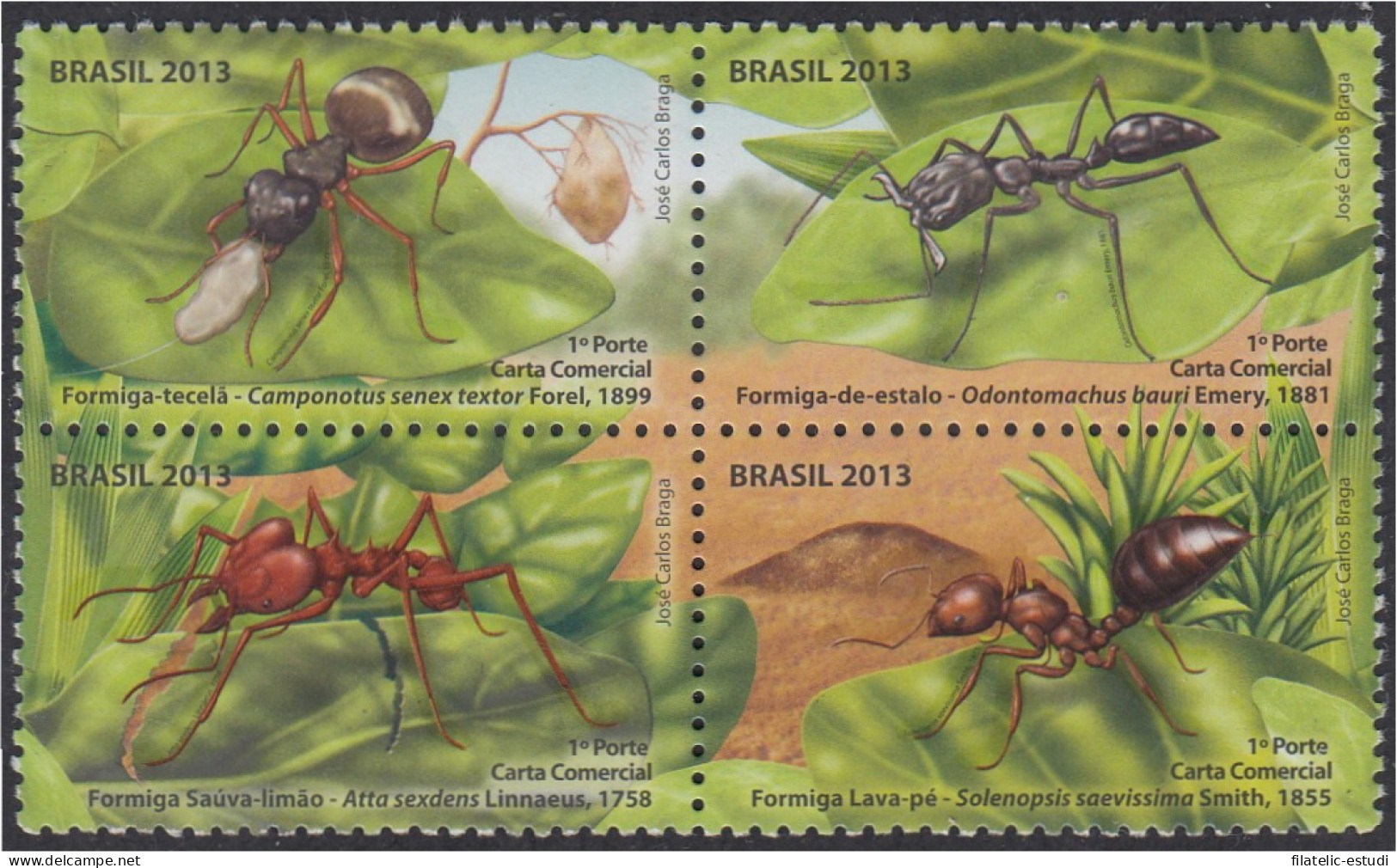 Brasil Brazil 3283/86 2013 Fauna Insectos Hormigas  MNH - Altri & Non Classificati