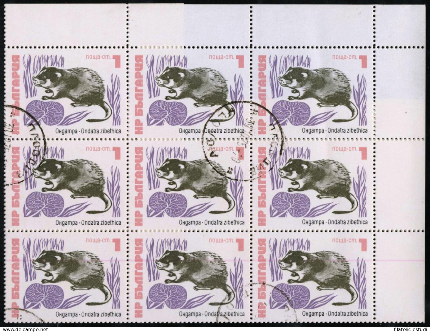 FAU1 Bulgaria  Bulgary  Nº 2008  Used - Other & Unclassified