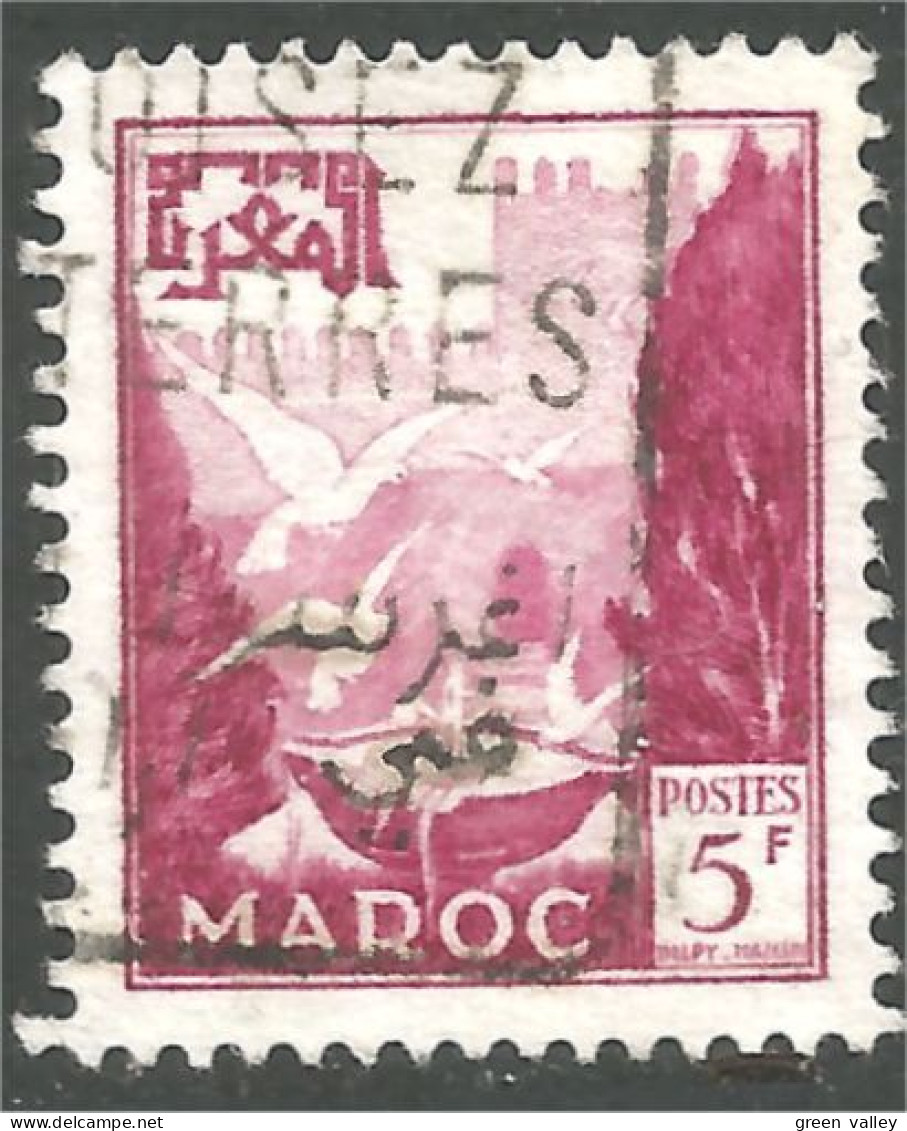 XW01-2603 Maroc 5f Vasque Aux Pigeons - Used Stamps