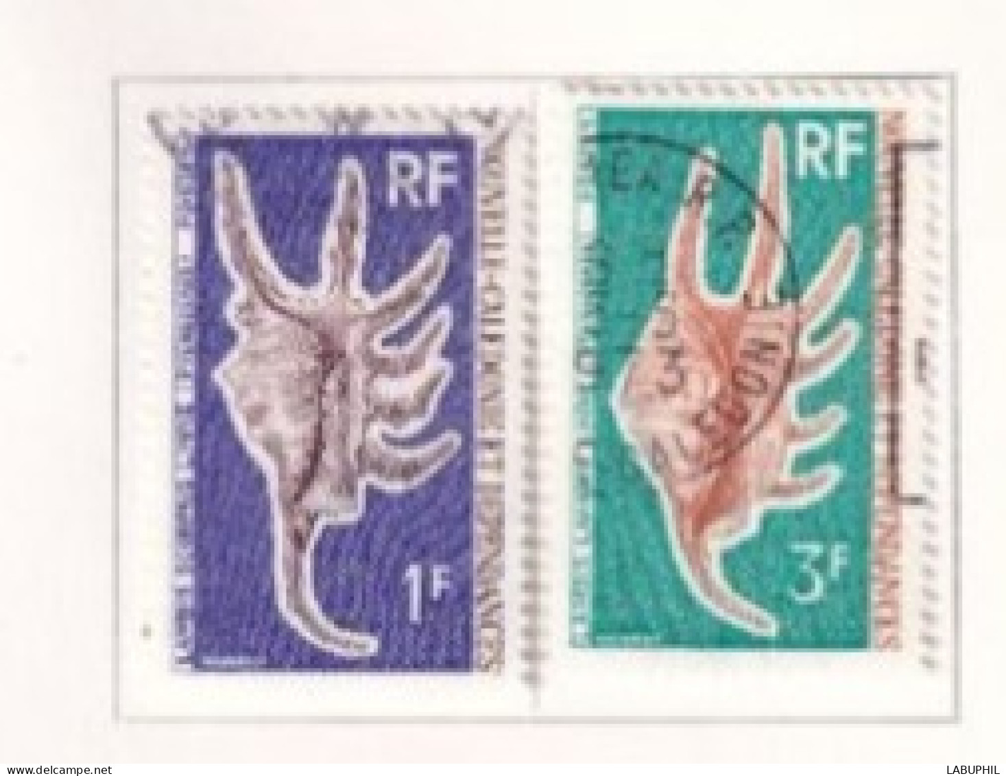 NOUVELLE CALEDONIE Dispersion D'une Collection Oblitéré Used  1972 Faune Coquillages - Oblitérés