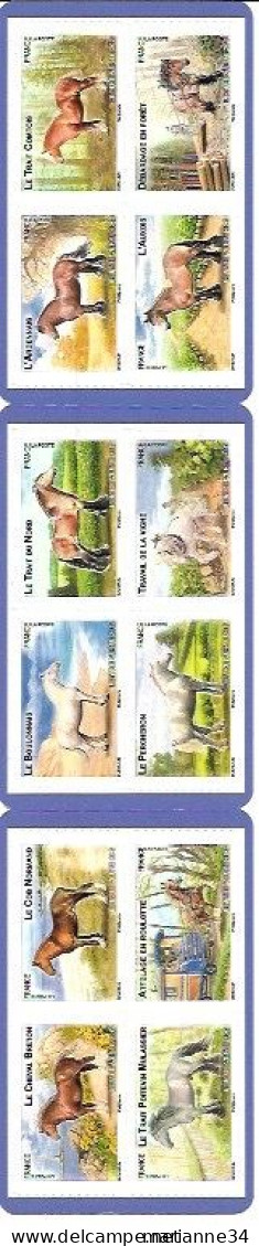 France- 2013- Carnet - Chevaux De Trait De Nos Régions- BC 813** - Booklets