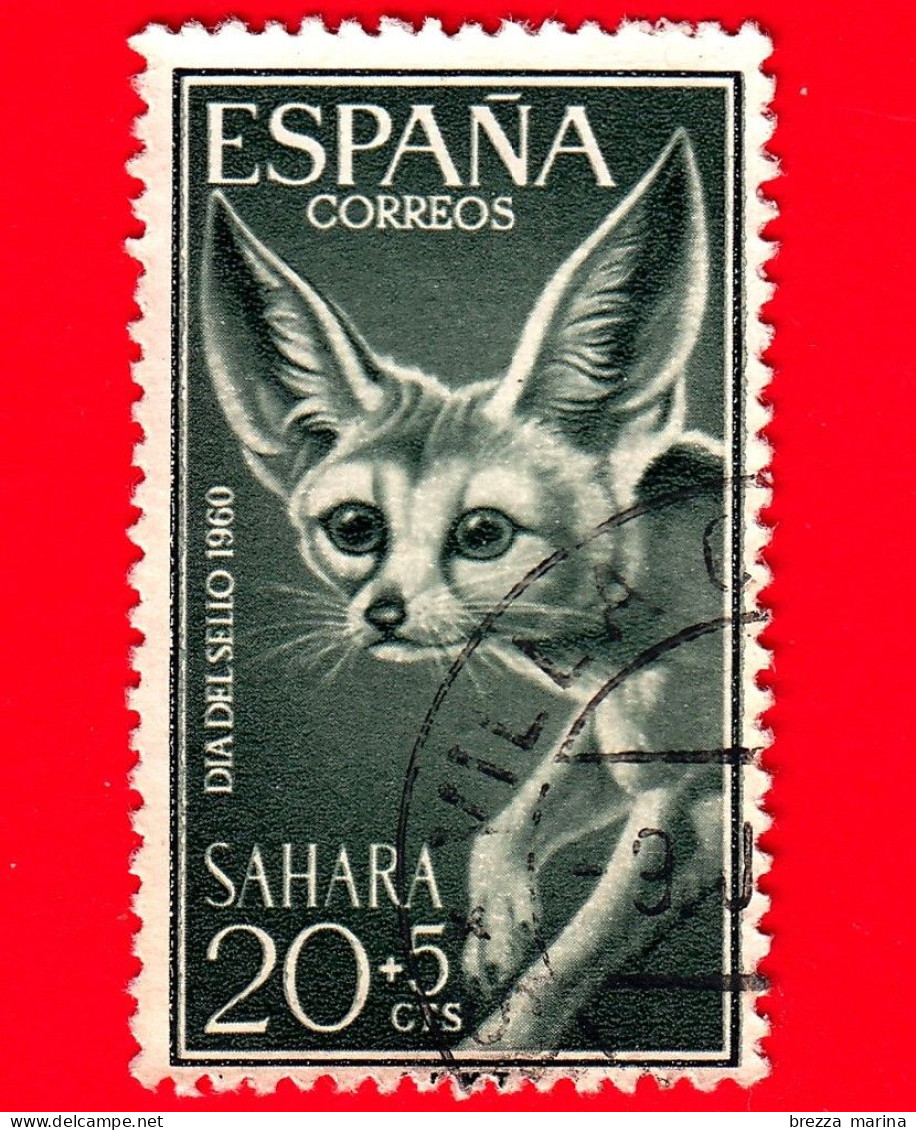 SAHARA SPAGNOLO - Usato - 1960 - Giornata Del Francobollo - Volpe - Fennec (Fennecus Zerda) - 20+5 - Sahara Spagnolo