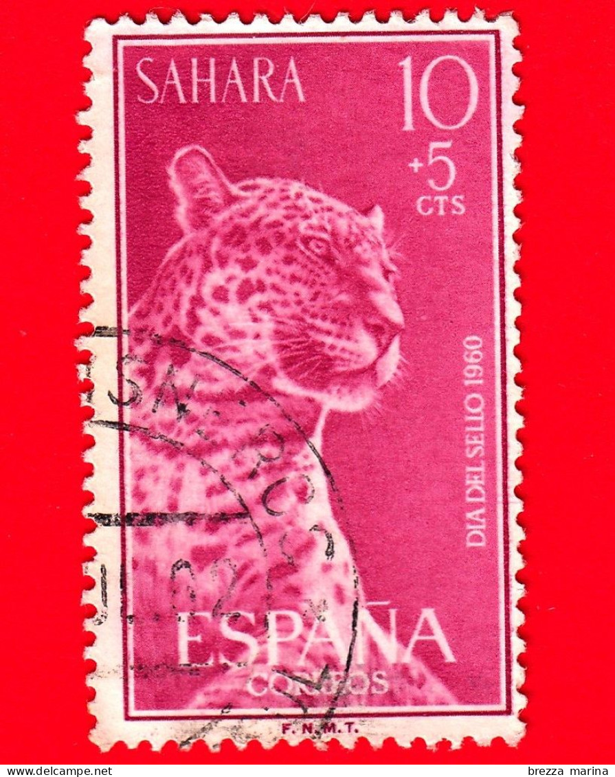 SAHARA SPAGNOLO - Usato - 1960 - Giornata Del Francobollo - Leopardo (Panthera Pardus) - 10+5 - Sahara Spagnolo