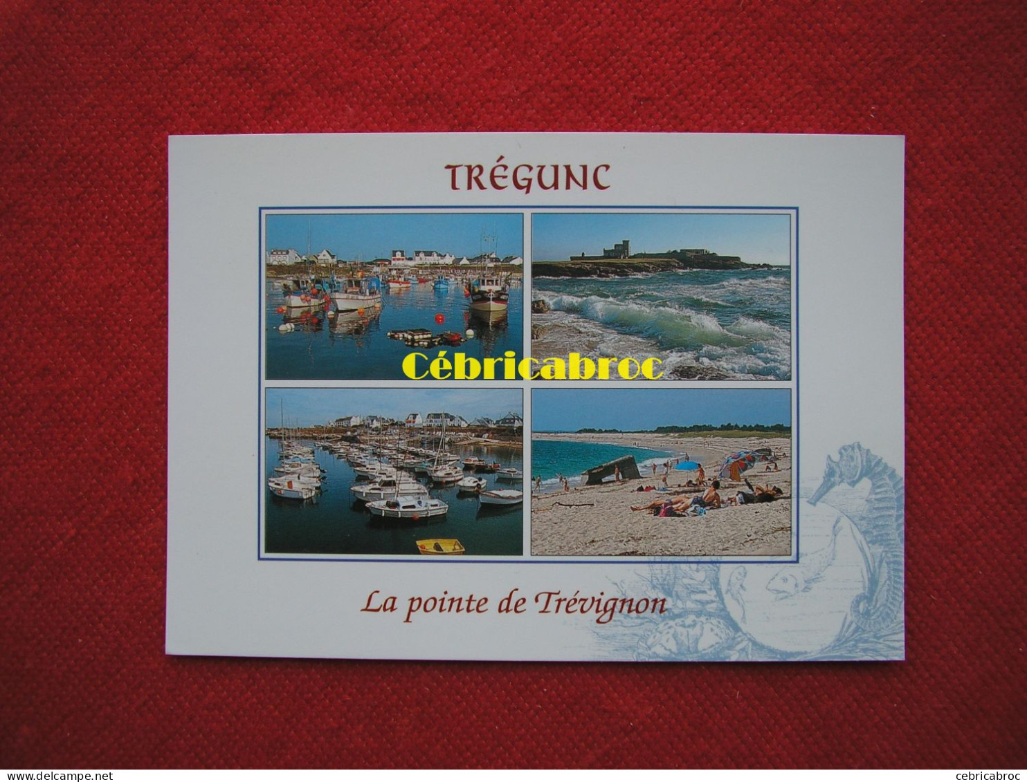 LCP01 - TREGUNC - Pointe De Trévignon - Le Port, Le Fort, Le Port De Plaisance Et La Plage - Trégunc