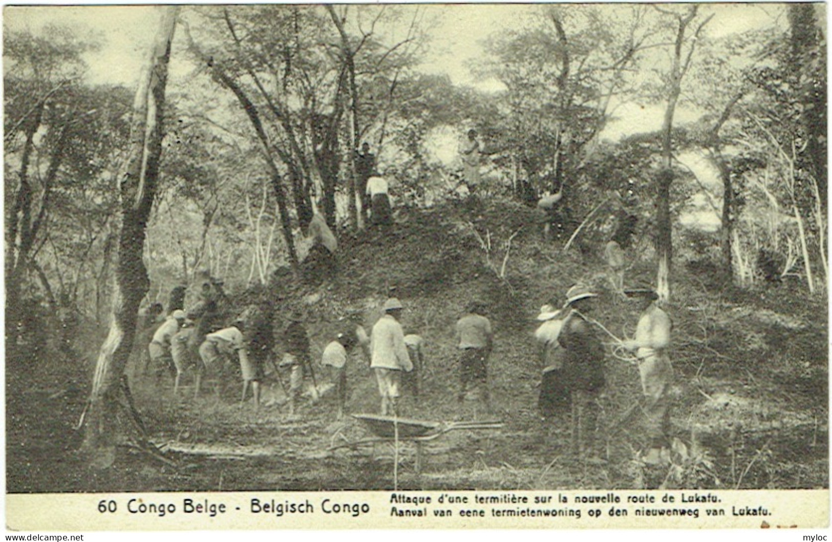 Congo Belge. Attaque D'une Termitière  Sur La Route De Lukafu. - Congo Belge