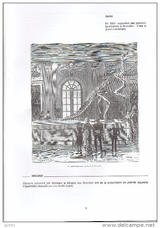 Professeur Dino Raconte. Dossier Pédagogique Sur Les Dinosaures, De L'Institut Des Sciences Naturelles De Belgique 1991 - Fiches Didactiques