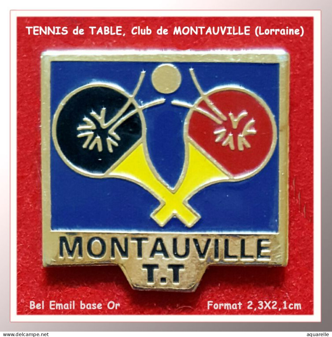 SUPER PIN'S "TENNIS De TABLE "MONTAUVILLE" Région Lauraiarraine En Bel Email Cloisonné Base Or, Format 2,3X1,1cm - Archery
