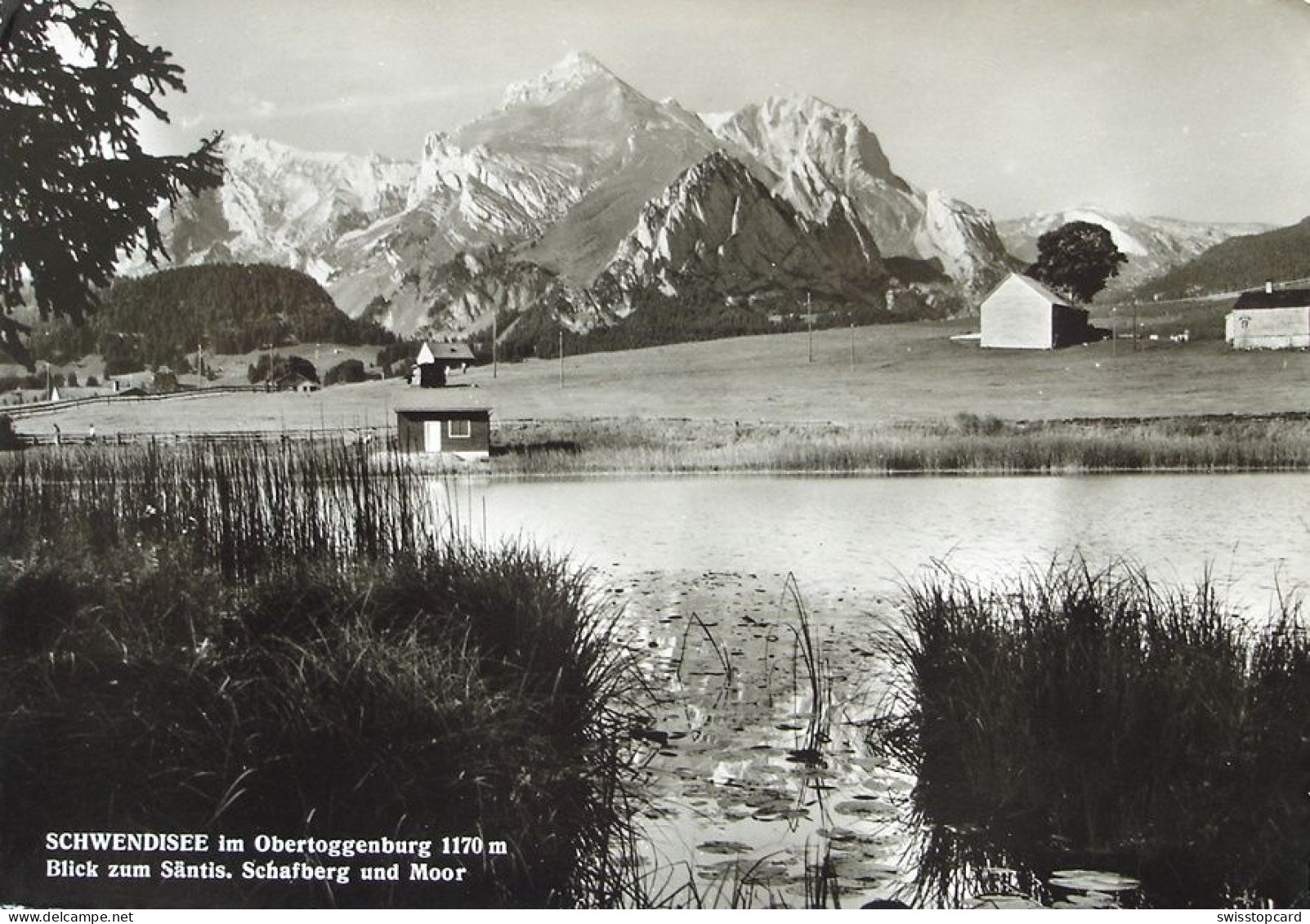 WILDHAUS Schwendisee, Blick Zum Säntis, Schafberg Und Moor - Wildhaus-Alt Sankt Johann