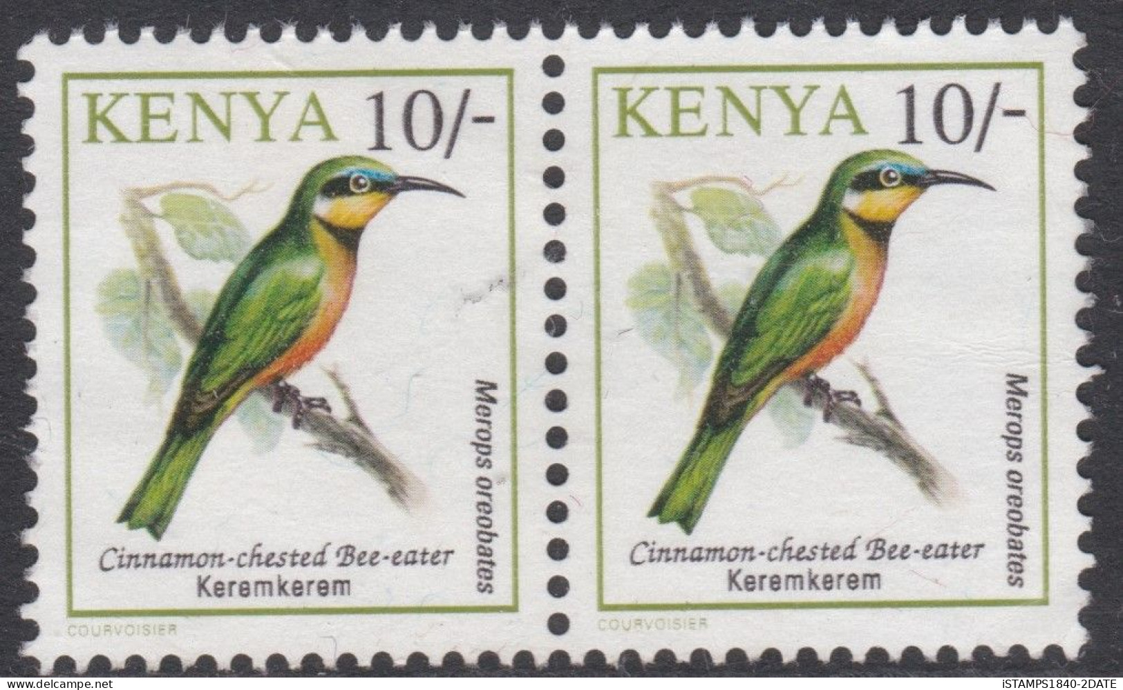 00903/ Kenya 1993 Sg598 10/ Multicoloured Birds Unused Pair Cinnamon-chested Bee-eater - Kenya (1963-...)