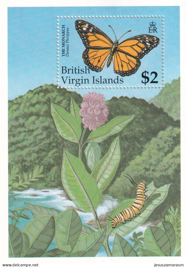 Virgenes Hb 67 - British Virgin Islands