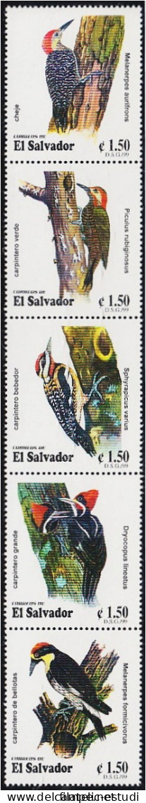 El Salvador 1436/40 2000 Fauna. Pájaros MNH - Salvador