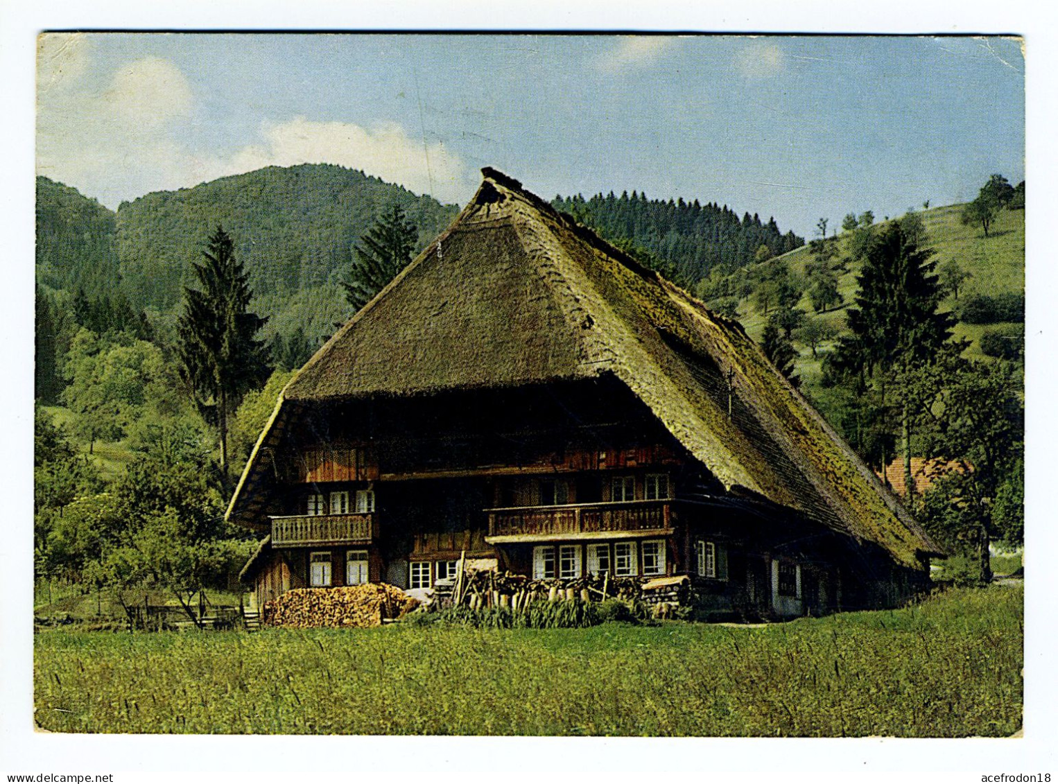 Altes Bauernhaus Im Schwarzwald - Gutach (Schwarzwaldbahn)
