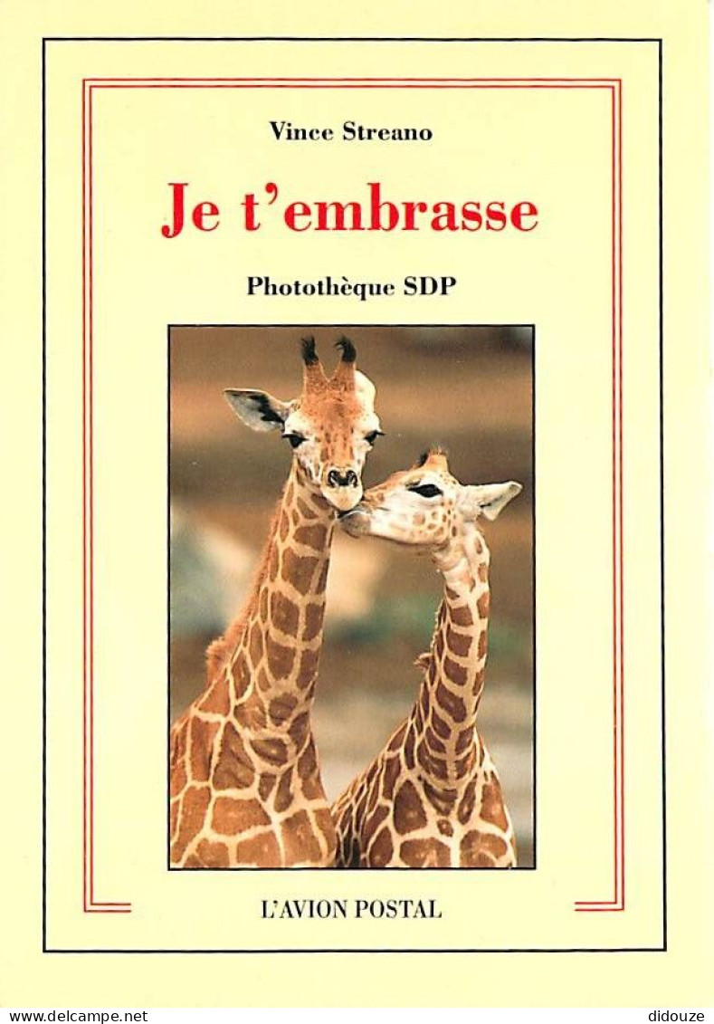 Animaux - Girafes - Carte Neuve - CPM - Voir Scans Recto-Verso - Jirafas