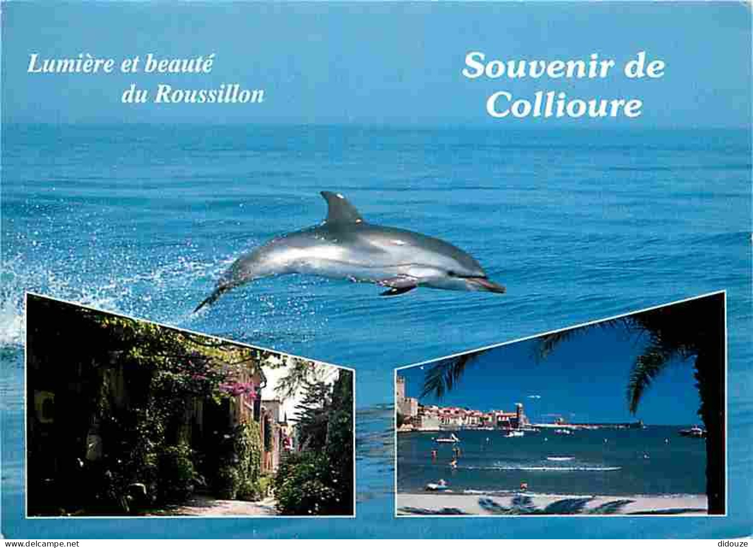 Animaux - Dauphins - CPM - Voir Scans Recto-Verso - Delfini