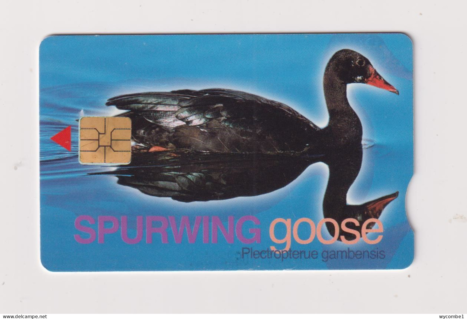 SOUTH AFRICA  -  Bird Spurwing Goose Chip Phonecard - Zuid-Afrika