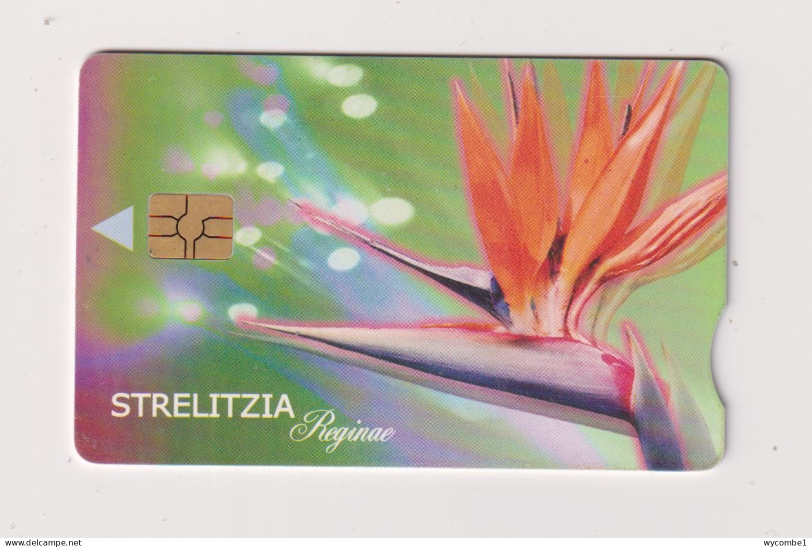 SOUTH AFRICA  -  Flower Strelitzia Chip Phonecard - Südafrika