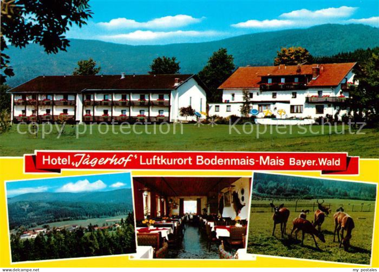 73087716 Bodenmais Hotel Jaegerhof Bodenmais - Bodenmais