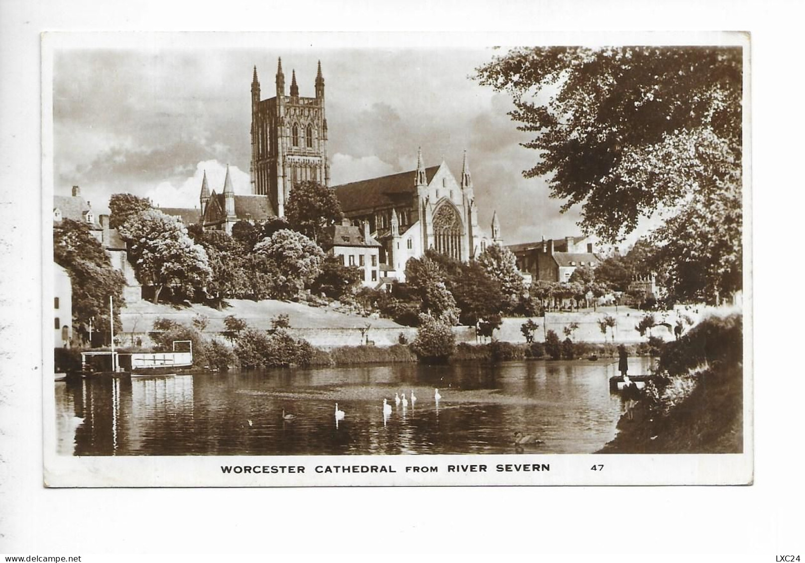 WORCESTER CATHEDRAL FROM RIVER SEVERN. - Worcester