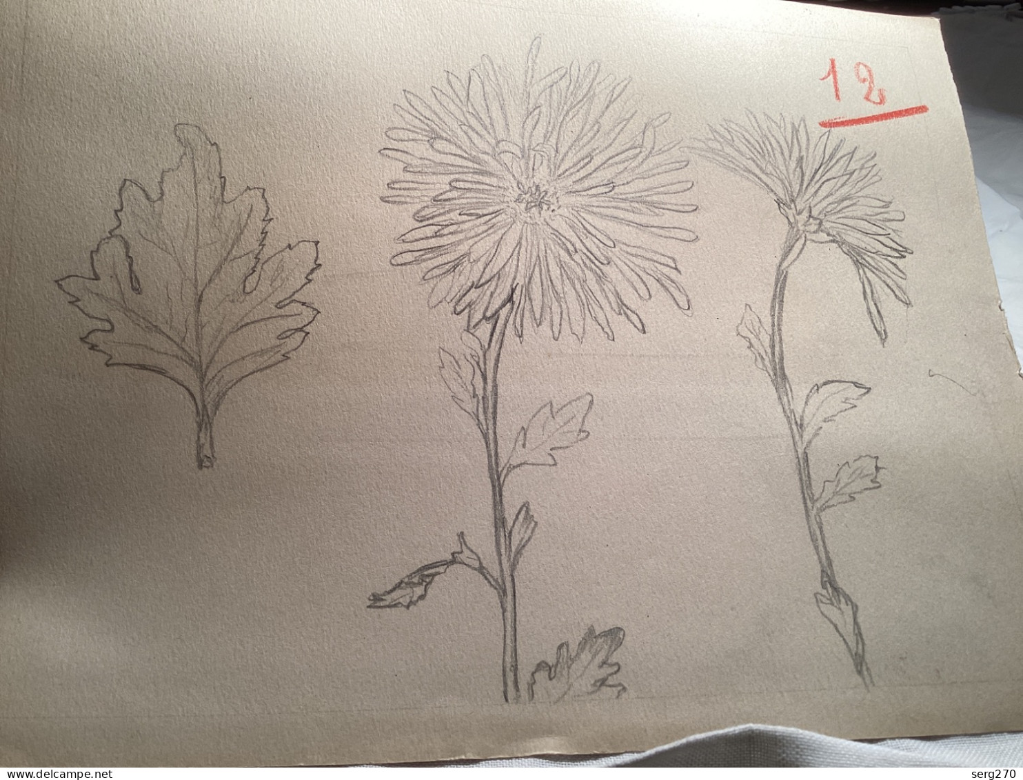 Dessin Original Ancien Livre, L’un Sur L’autre, De L’autre, Côté Fleurs Feuille - Dessins