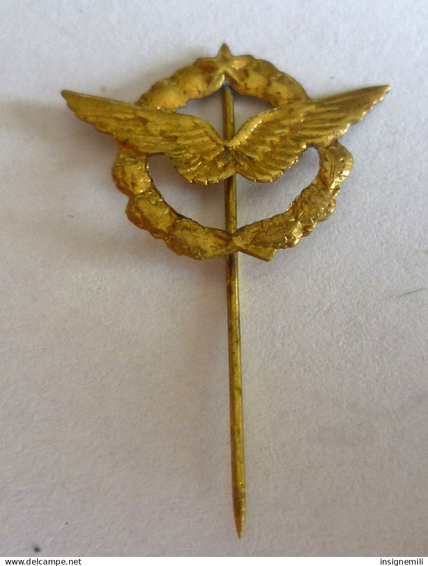 INSIGNE EPINGLETTE ARMEE DE L' AIR - Armée De L'air