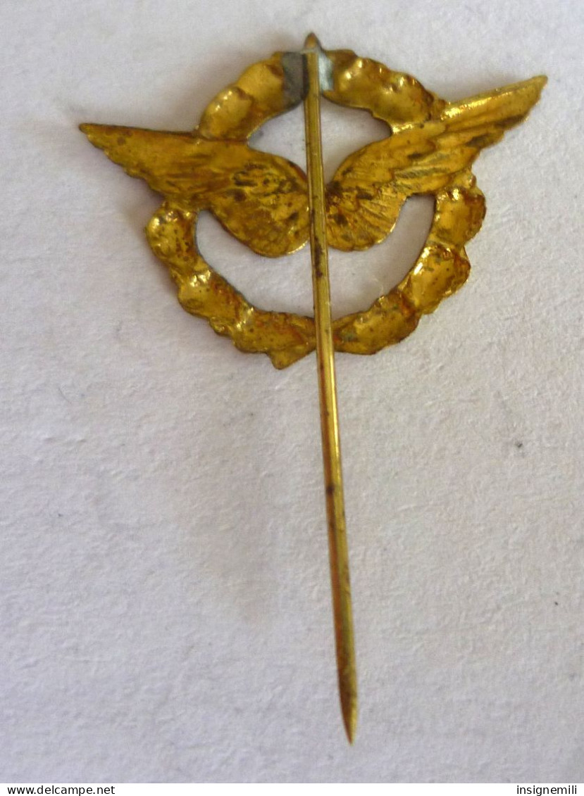 INSIGNE EPINGLETTE ARMEE DE L' AIR - Armée De L'air