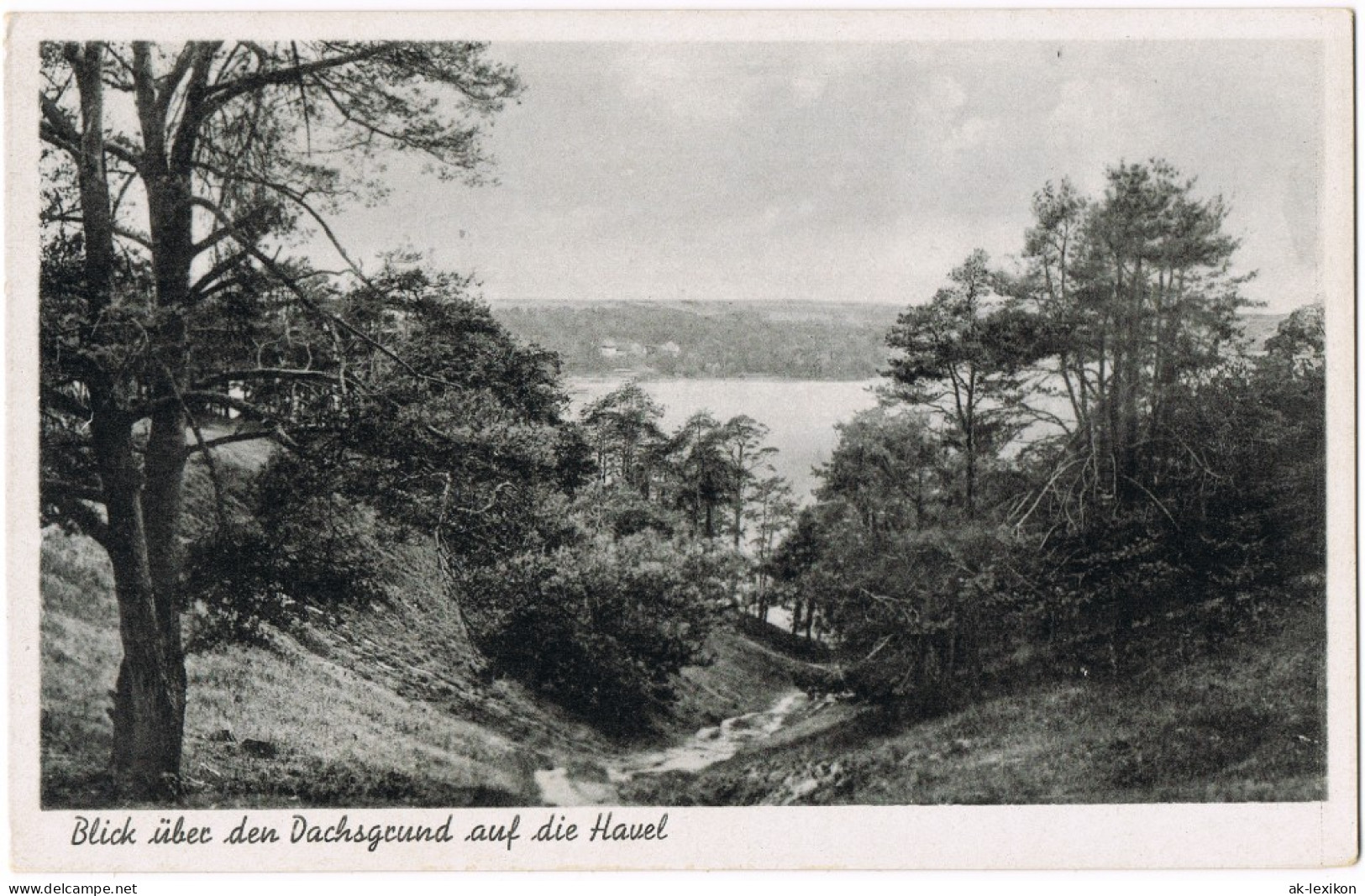 Ansichtskarte Grunewald-Berlin Partie Am Dachsgrund 1932 - Grunewald