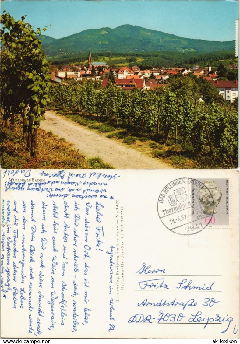 Ansichtskarte Müllheim (Baden) In Den Weinbergen - Stadtblick 1982 - Muellheim