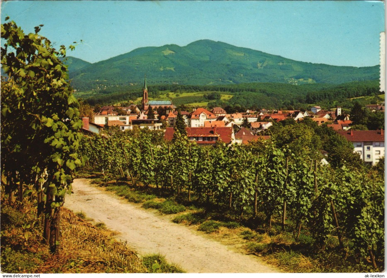 Ansichtskarte Müllheim (Baden) In Den Weinbergen - Stadtblick 1982 - Müllheim