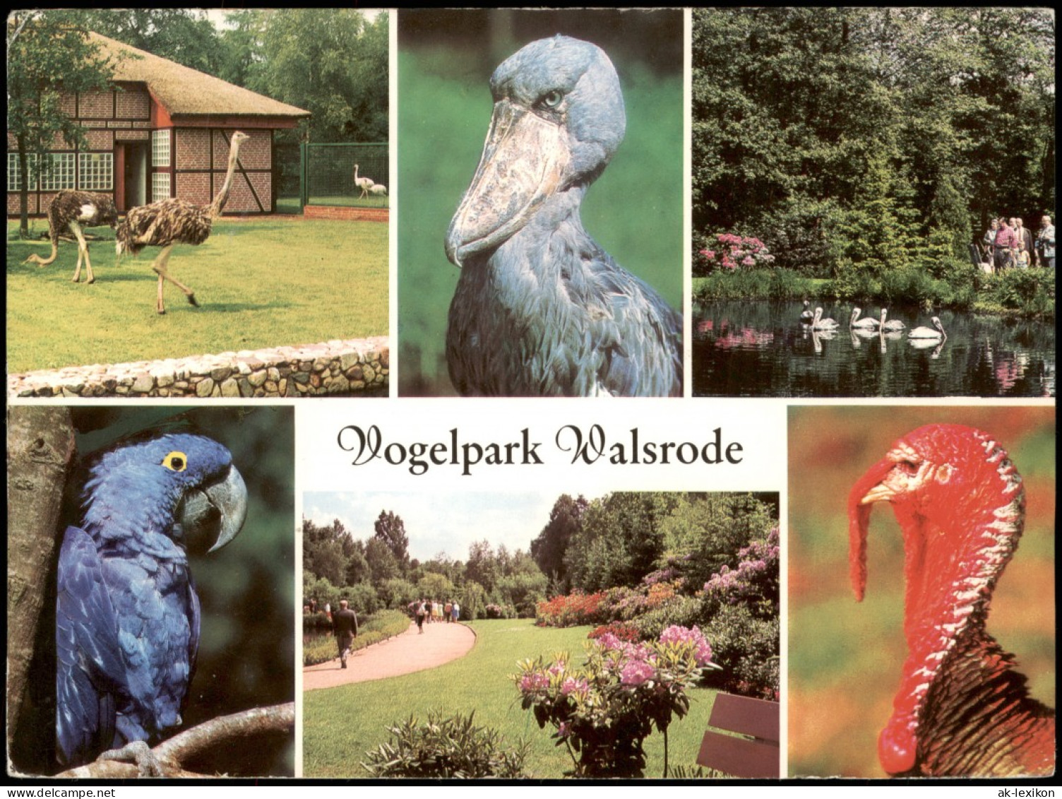 Walsrode Vogelpark Mehrbildkarte Verschiedene Vögel, Birds Park 1979 - Walsrode