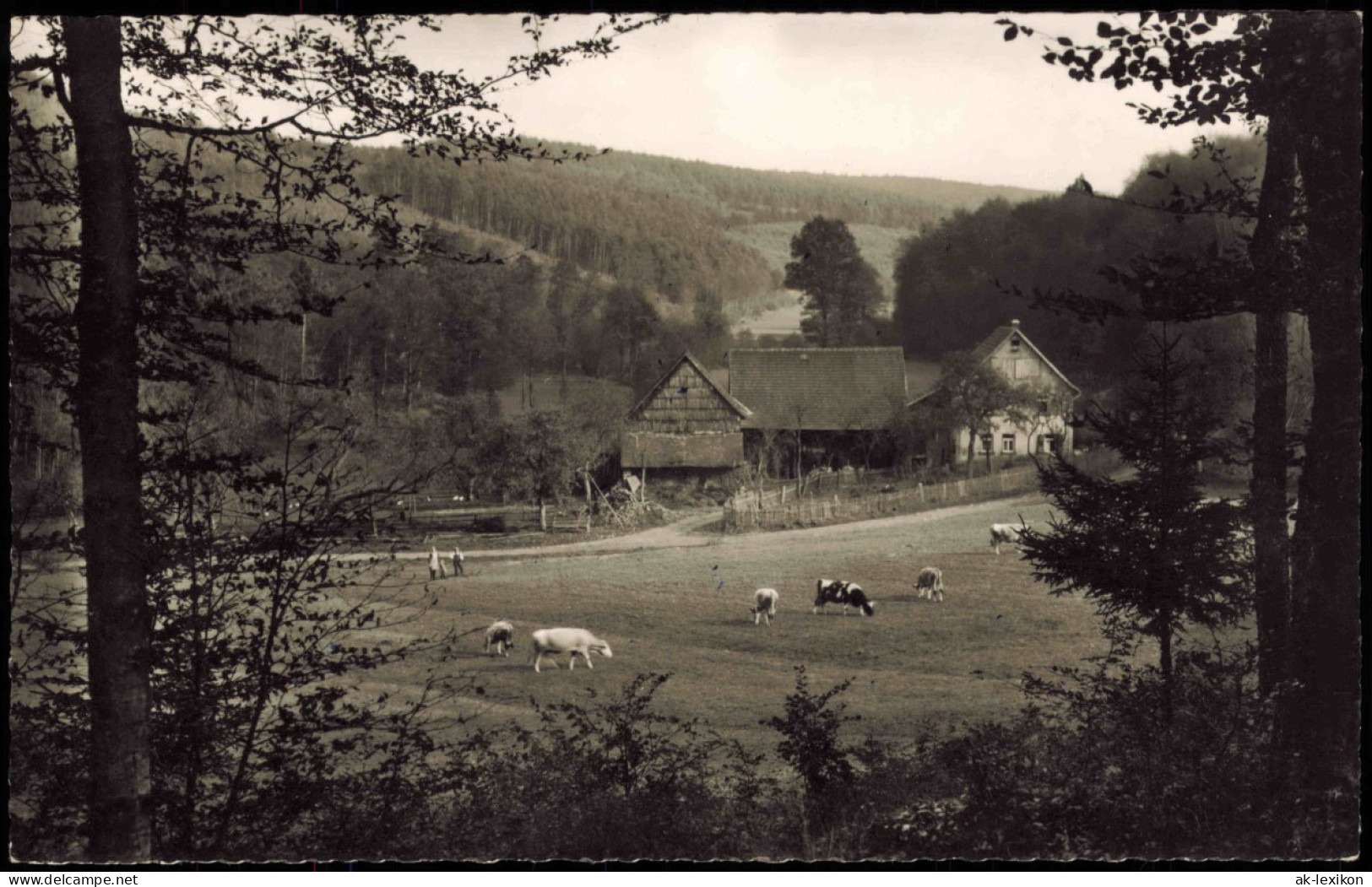 Zell Im Odenwald-Bad König Odenwald-Idyll (Heusselsmühle) 1960 - Bad Koenig