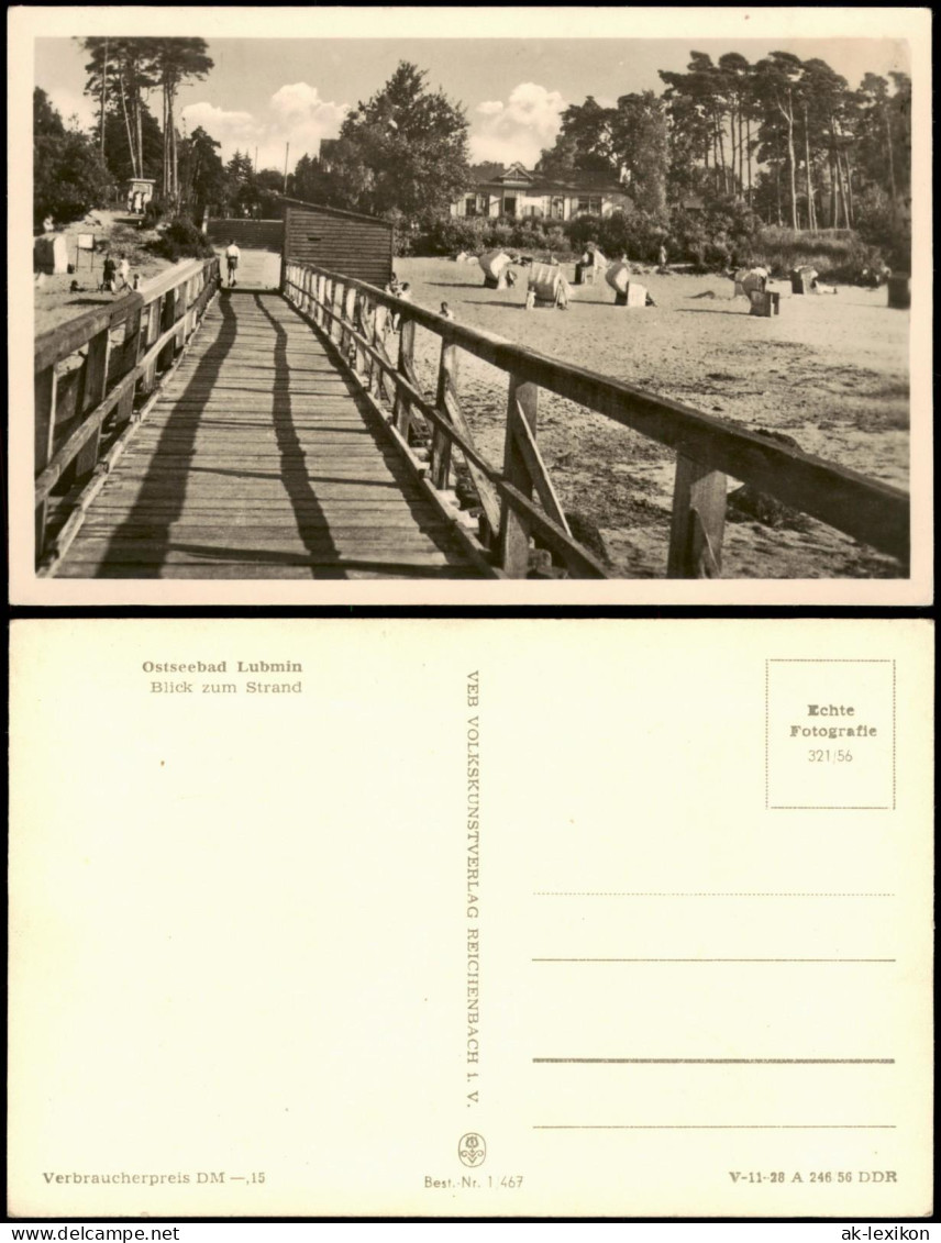 Ansichtskarte Lubmin Blick Zum Strand, Seebrücke, DDR AK 1956 - Lubmin