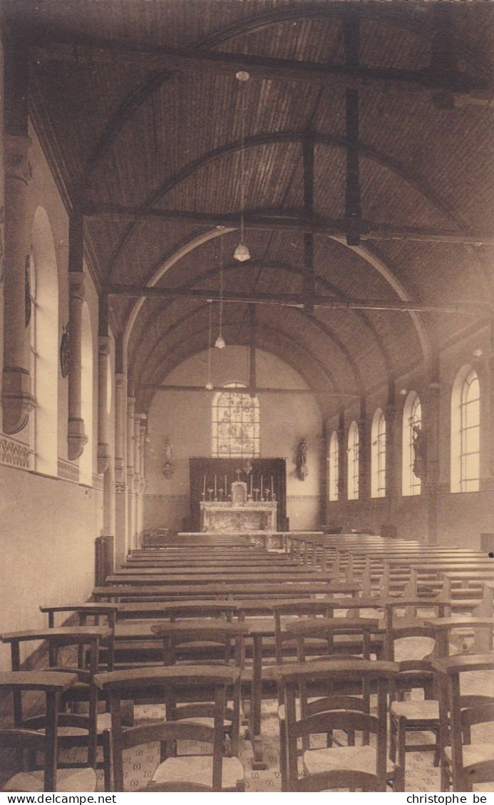 Collége Episcopal De Leuze, Ecole D'agriculture Et De Mécanique Agricole (pk87420) - Leuze-en-Hainaut