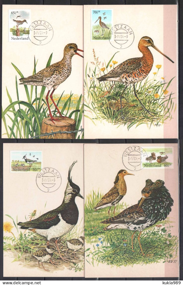 NETHERLANDS STAMPS. 1984 SET OF 4 MAXIMUM CARDS MC  BIRDS, UNUSED - Cartas Máxima