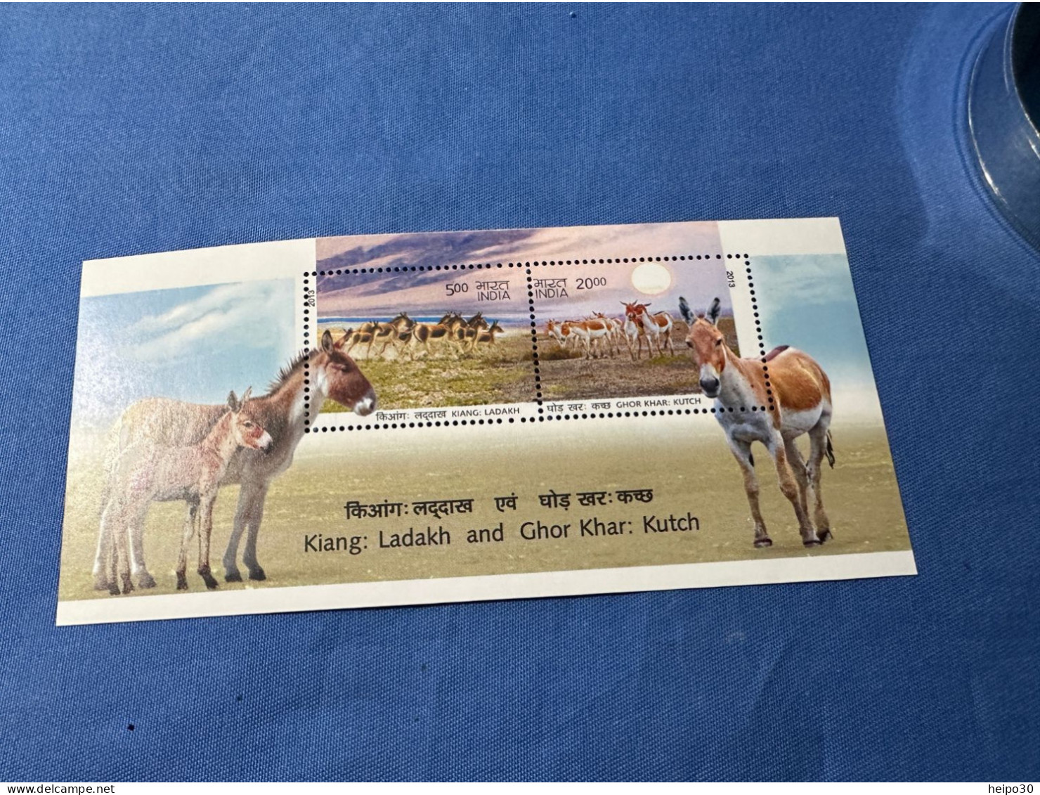 India 2013 Michel Block 114 Wildesel MBH - Unused Stamps