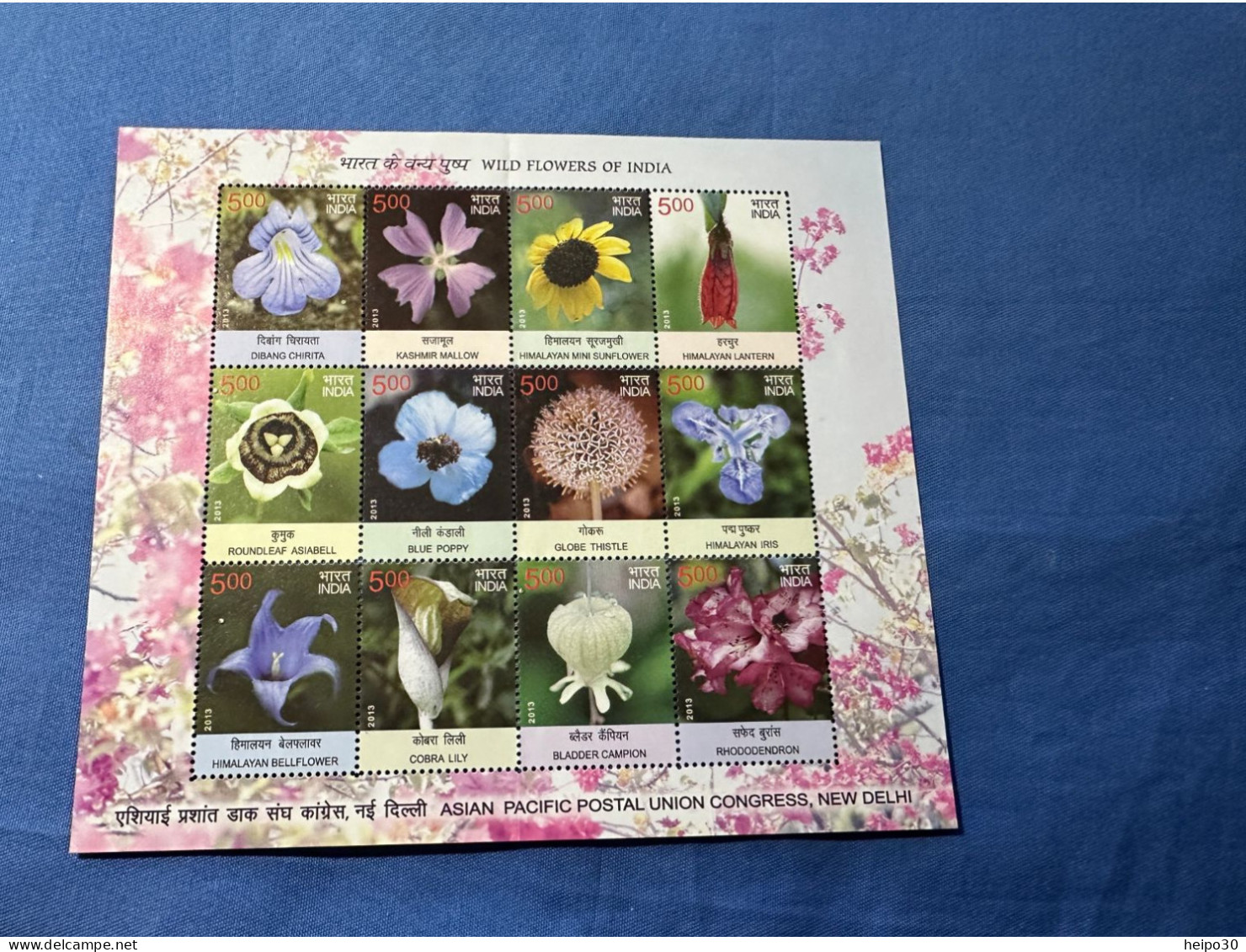 India 2013 Michel 2770-2781 Sheetlet Wildblumen MBH - Unused Stamps