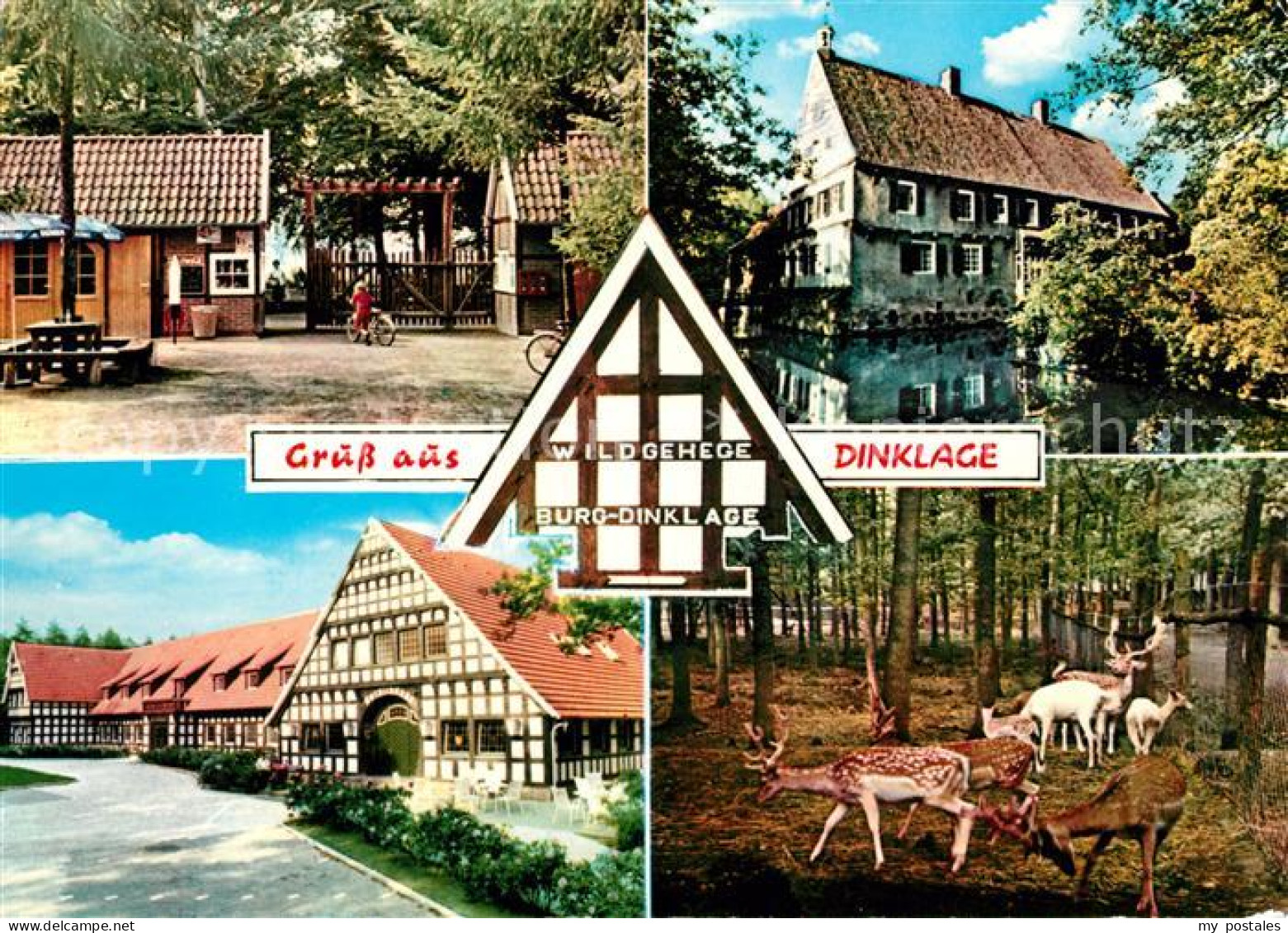 73083356 Dinklage Wildgehege Burg Fachwerk Dinklage - Dinklage