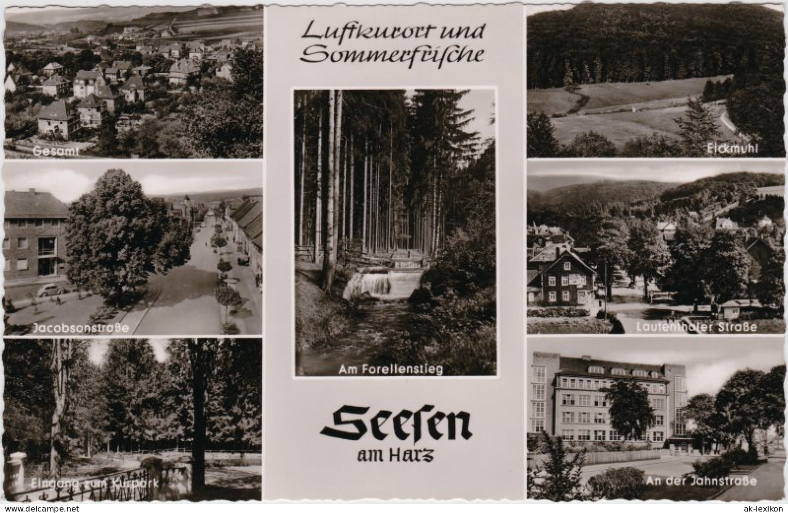 Seesen Mehrbild: Laufenthaler Straße, Jahnstraße, Jacobsonstraße, Eickmühl, Kurpark 1965  - Seesen