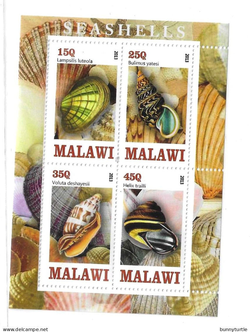 Malawi 2013 Seashells S/S MNH - Malawi (1964-...)
