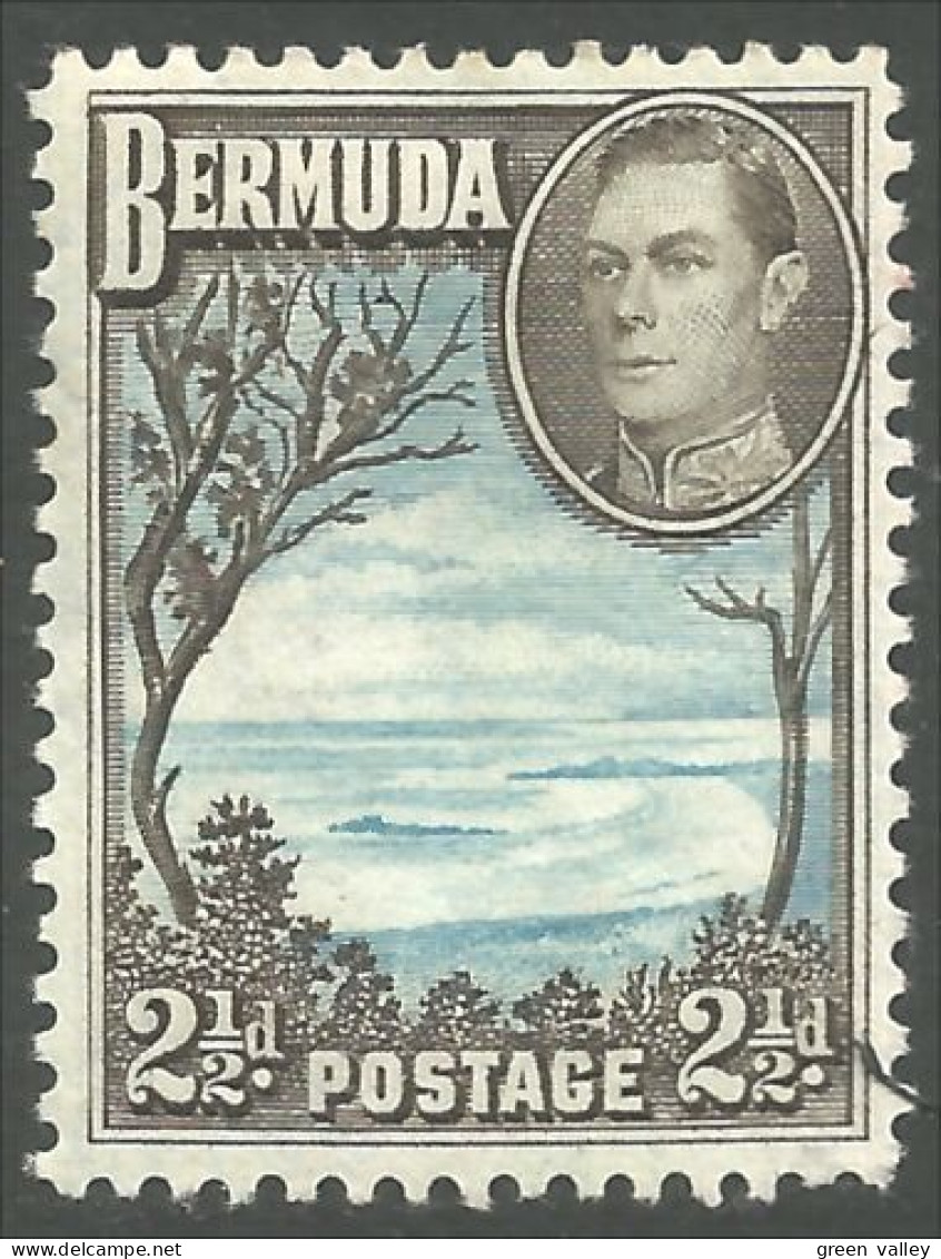 188 Bermuda 1941 Grape Bay Baie Des Raisins (BER-128) - Bermudes